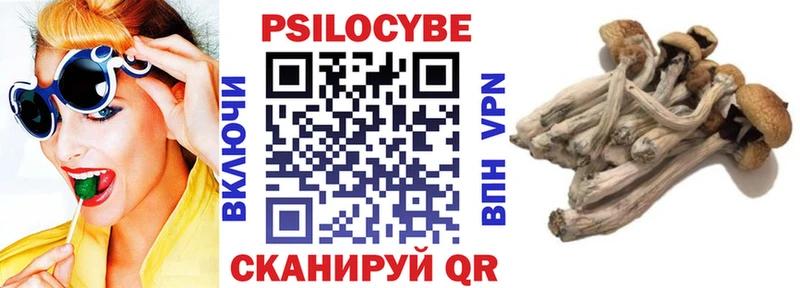 hydra как зайти  Липецк  Псилоцибиновые грибы Psilocybine cubensis 